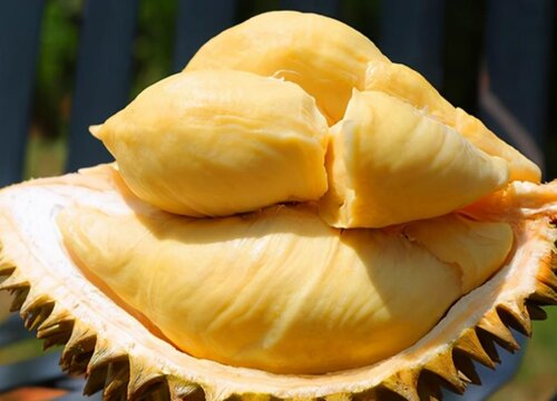 榴莲可以放冷冻保存吗