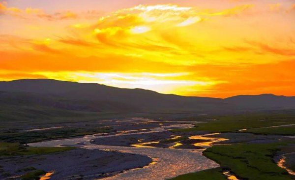 我国面积最大的是哪个省