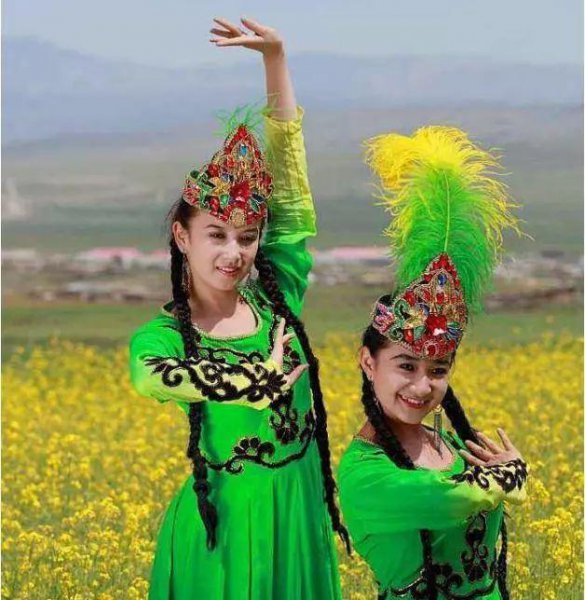 我国面积最大的是哪个省