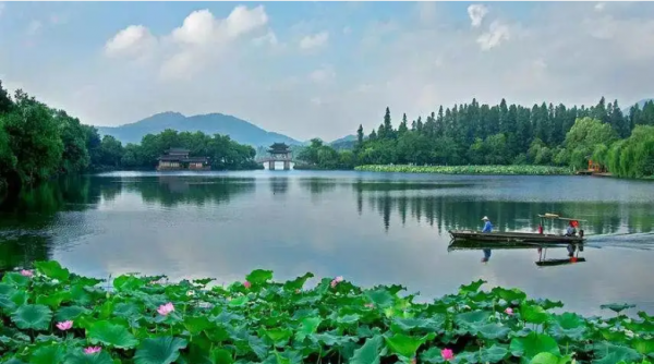 杭州大学有哪些