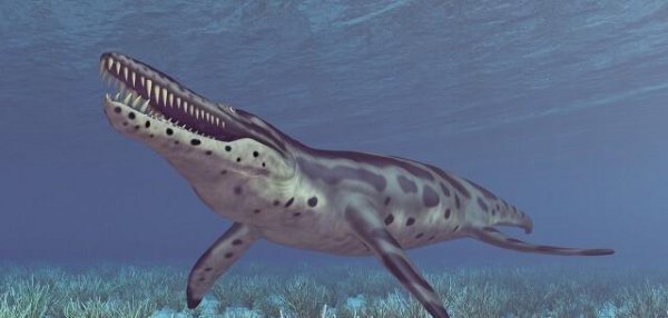 海里的恐龙叫什么名字