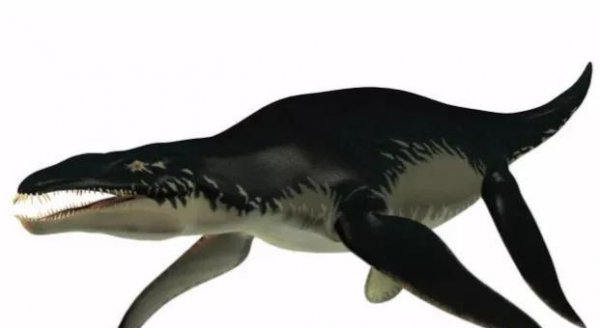 海里的恐龙叫什么名字