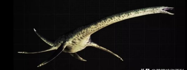 海里的恐龙叫什么名字