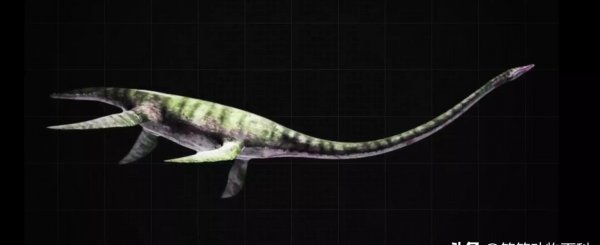 海里的恐龙叫什么名字