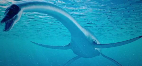 海里的恐龙叫什么名字