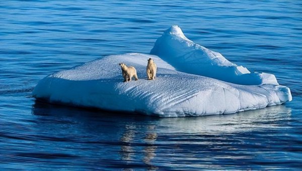 世界最大的岛屿在哪里