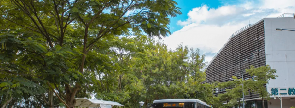 南方科技大学在哪里