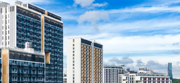 南方科技大学在哪里