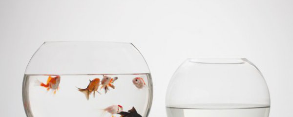 鱼缸放在卧室对面可以吗