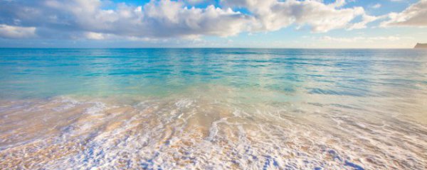 死海位于哪个国家