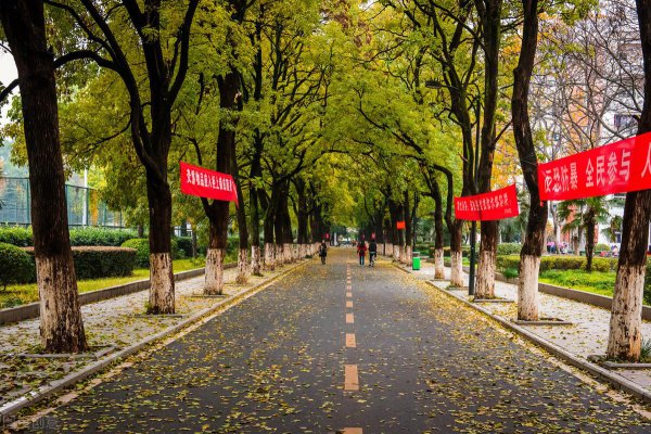 合肥工业大学算名校吗