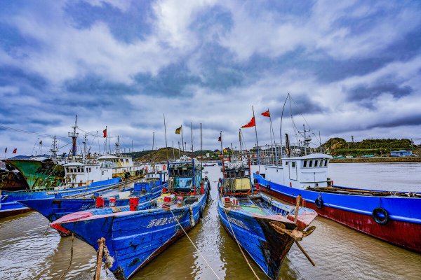 我国的四大海是哪四大海