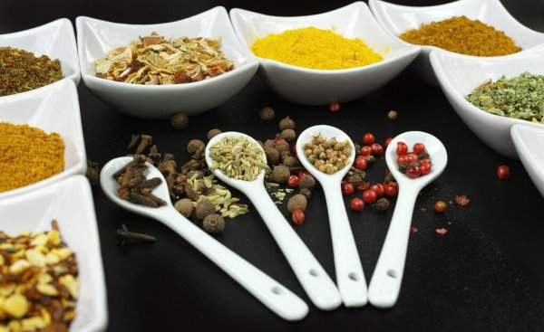 马鞭草闻起来什么味