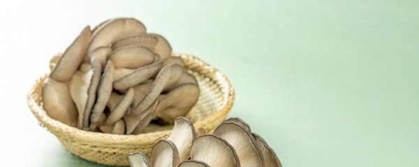 蘑菇的家庭种植方法