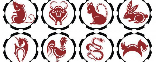 十二生肖最旺适合居住楼层