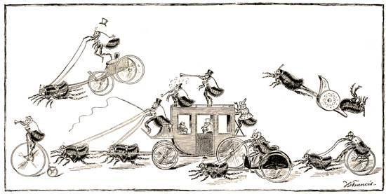 跳蚤是什么东西