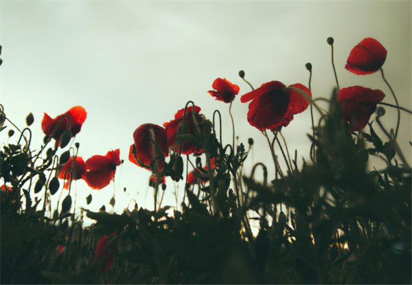 经常换头像的人是什么心理