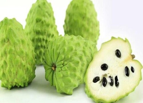 释迦果怎么催熟最快