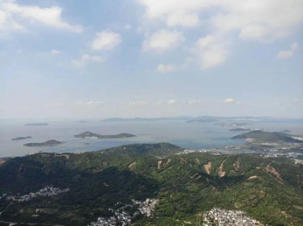 碧螺春产地在哪个省份最好