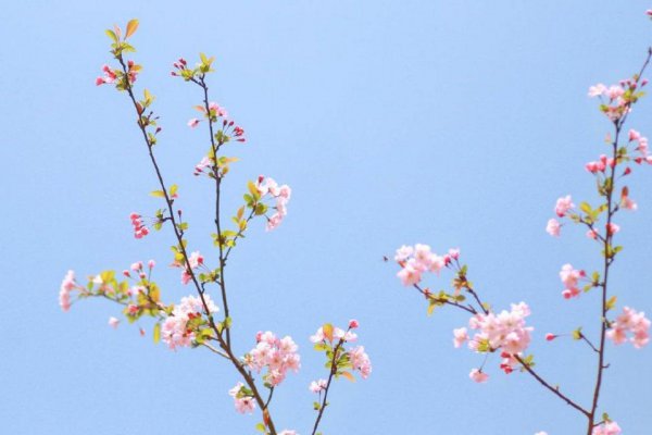 反套路最厉害的星座女生