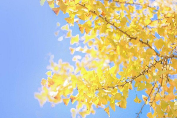 反套路最厉害的星座女生