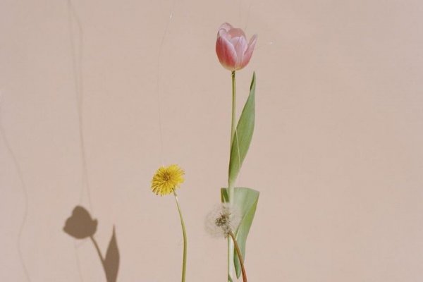 反套路最厉害的星座女生