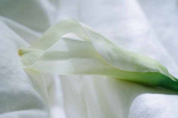 反套路最厉害的星座女生