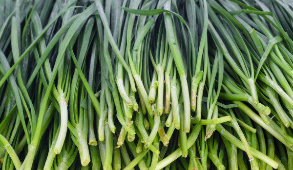 韭黄和韭菜的区别在哪里
