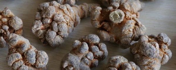 三七怎么分辨好坏