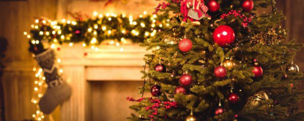 圣诞节送什么礼物给老师好