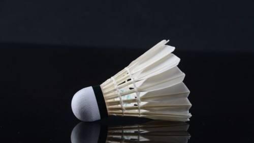 世界羽毛球单项锦标赛的名称是什么杯