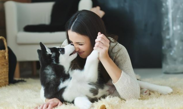 一个人容易招狗说明什么原因