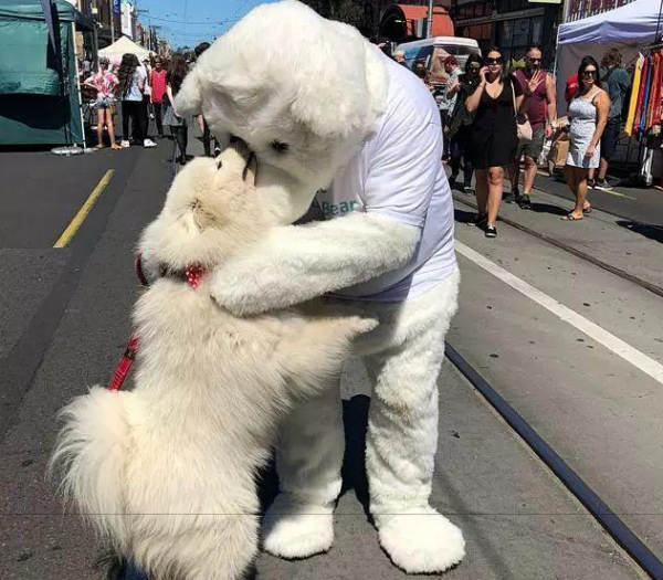 一个人容易招狗说明什么原因