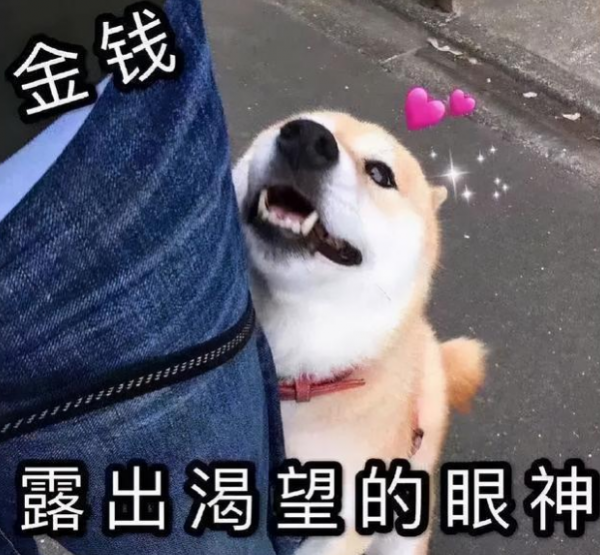 一个人容易招狗说明什么原因