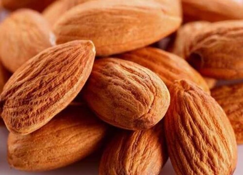 杏仁什么季节成熟