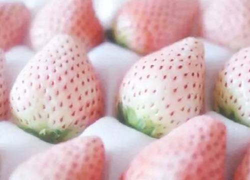 哪些水果是杂交品种