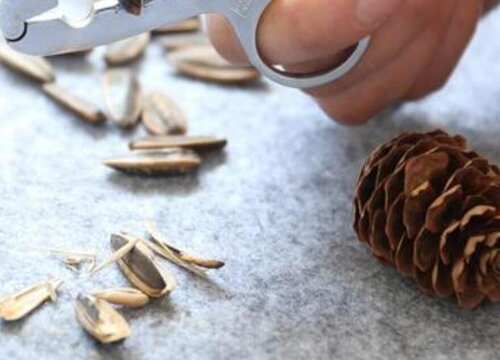 葵花籽壳可以做肥料吗