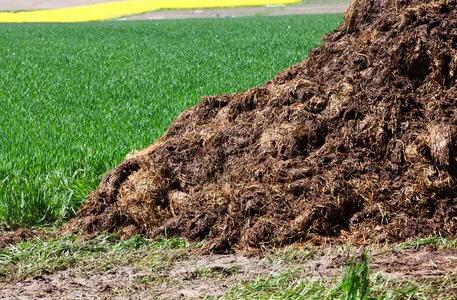 肥料施入土壤后多久能见效