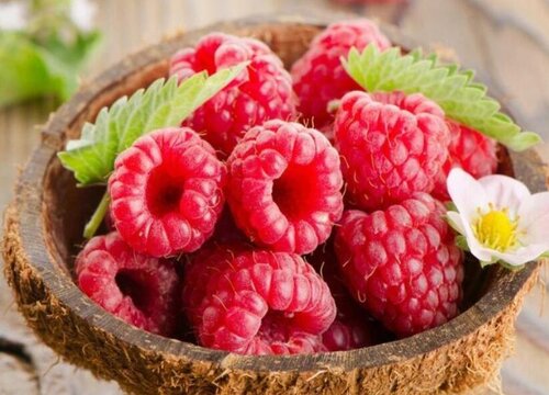 红树莓怎么洗才干净