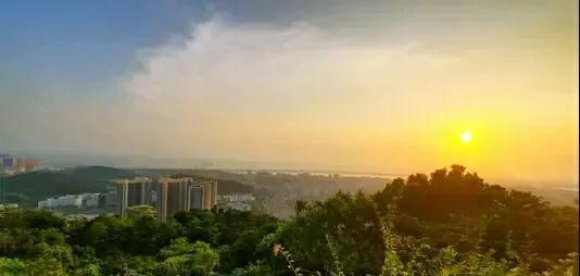 深圳十大免费景点推荐