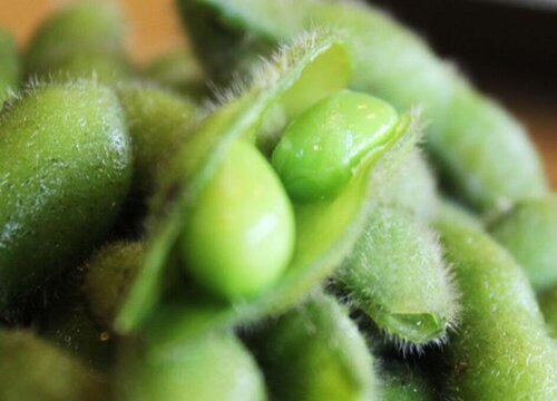 毛豆一年四季都有吗