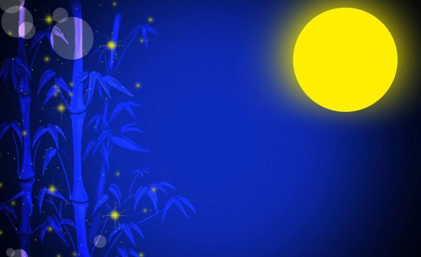 竹子的特点和品质是什么样的