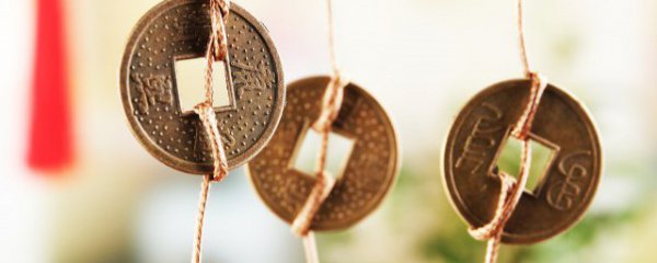 属羊什么颜色衣服旺财