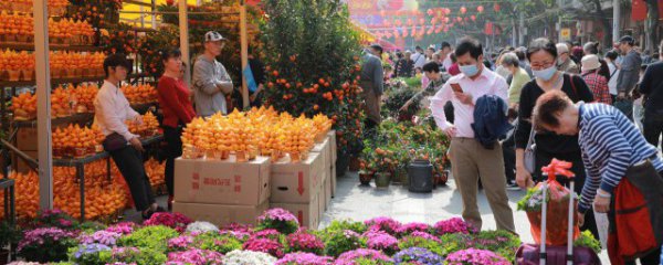 过年桌面摆花的寓意是什么