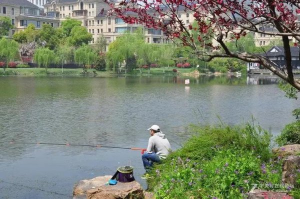 早春钓鲫鱼技巧口诀