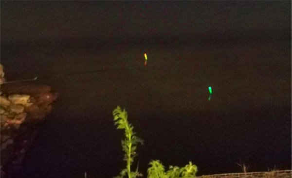 夜钓草鱼钓底还是钓浮最合适