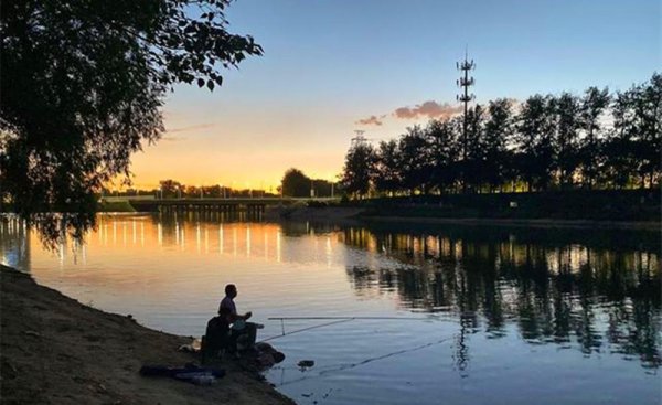 夜钓草鱼钓底还是钓浮最合适