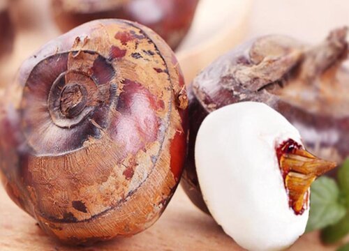 12月应季水果有哪些