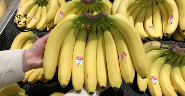 凉性水果有哪些东西