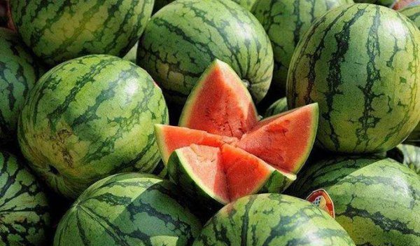 凉性水果有哪些东西